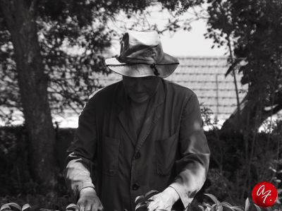 Clicca per l'immagine full size